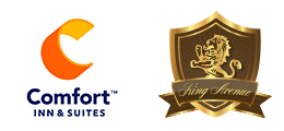 Comfort Inn and Suites King Avenue